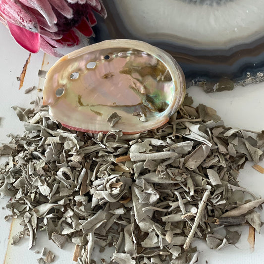 Abalone and White Sage #293-Happily Zen