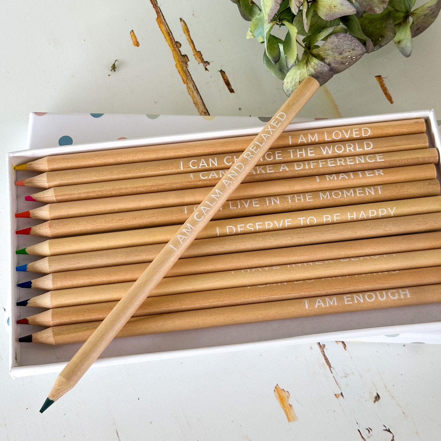 Affirmation Colouring Pencils #804-Happily Zen