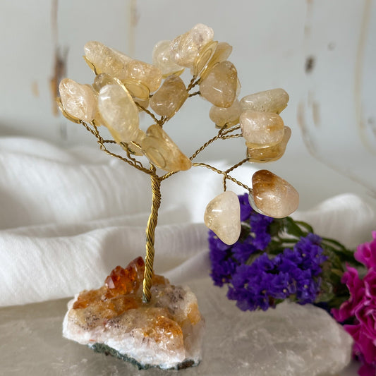 Citrine Crystal Tree #744-Happily Zen