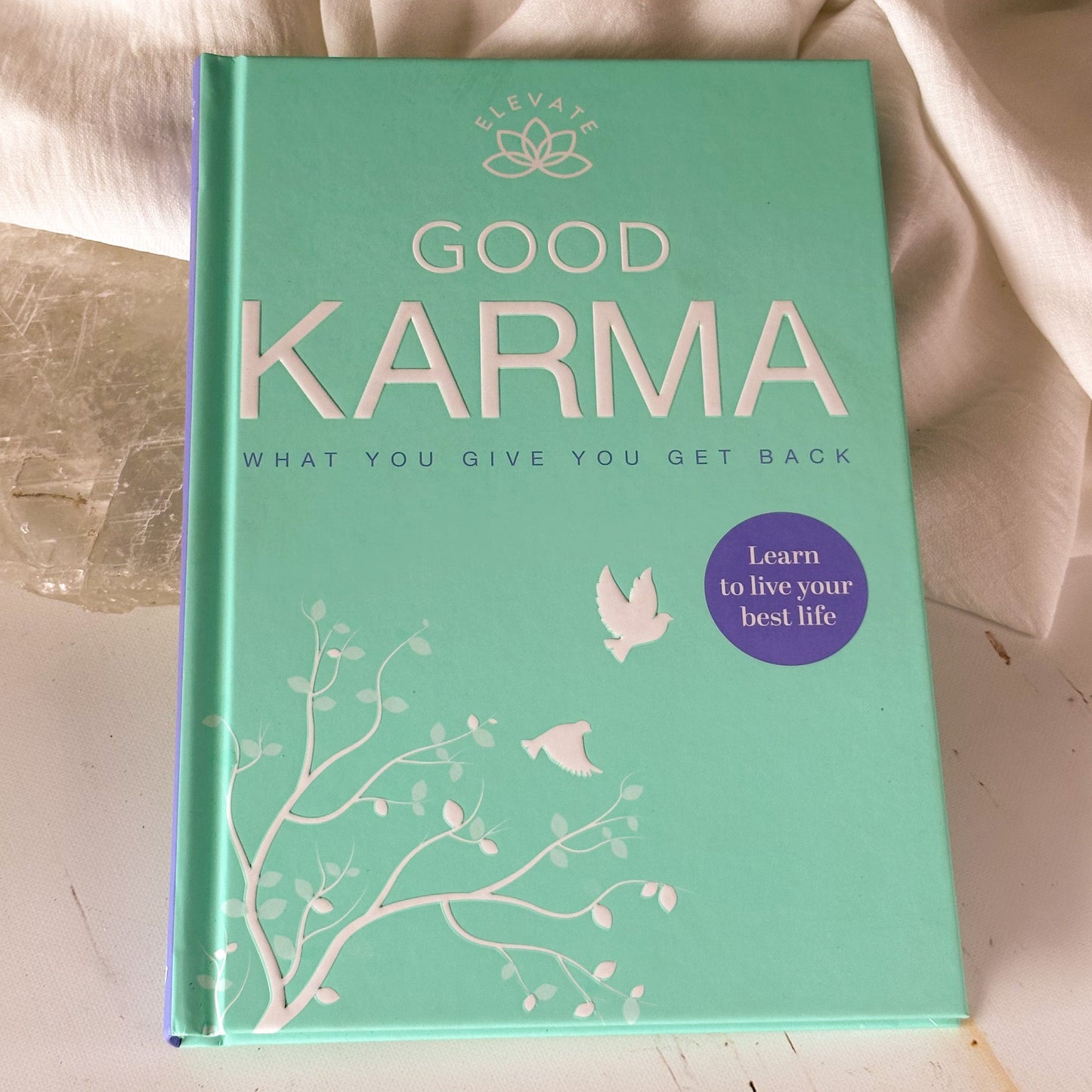 Elevate: Good Karma - What you Give you Get Back #722-Happily Zen