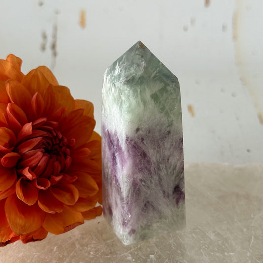 Feather Fluorite Obelisk #741-Happily Zen