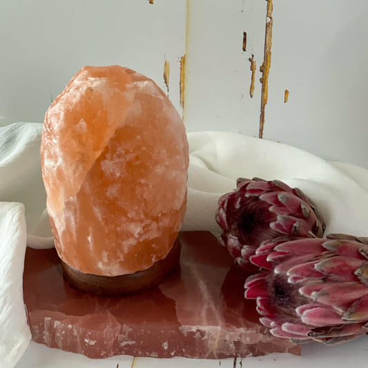 Himalayan Salt Lamp #282-Happily Zen