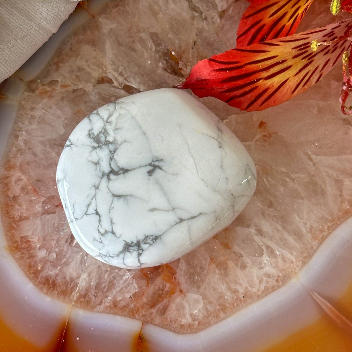 Howlite Palm Stone #923-Happily Zen