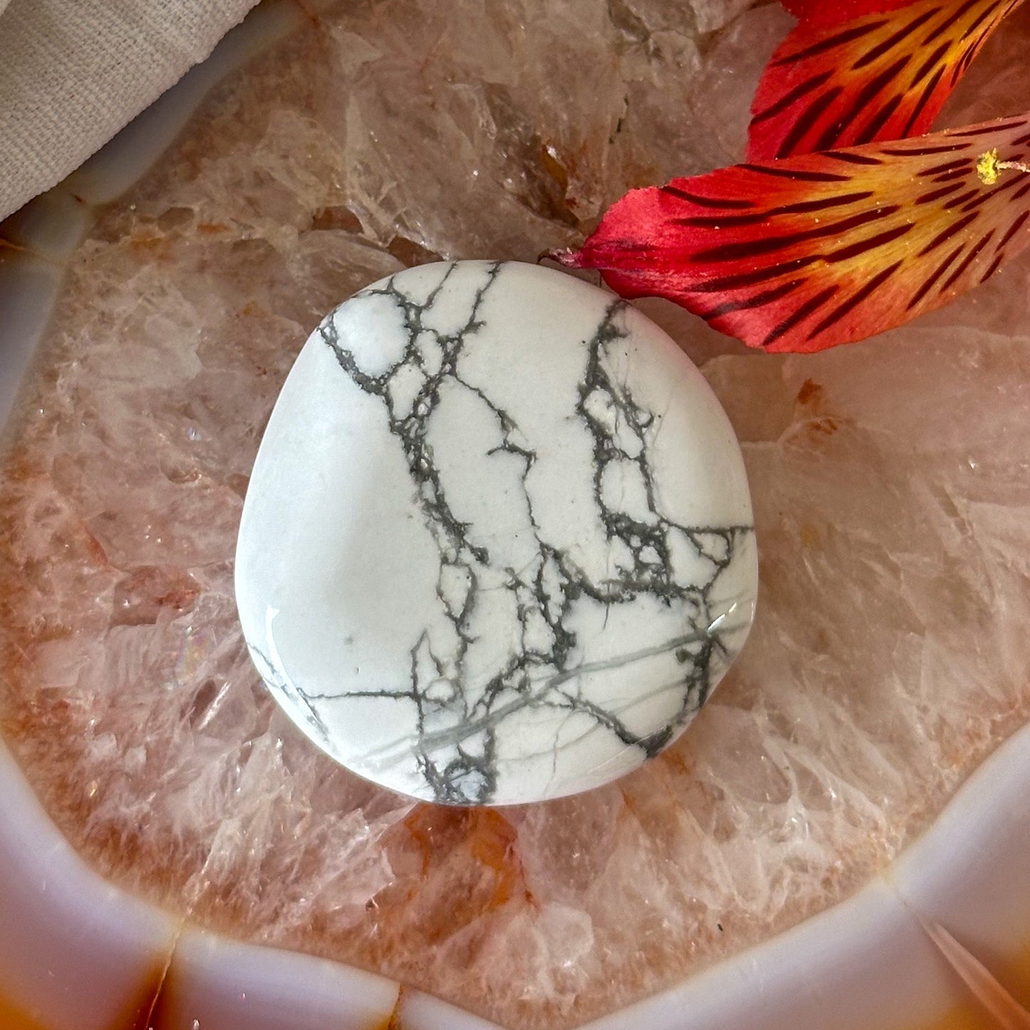 Howlite Palm Stone #924-Happily Zen