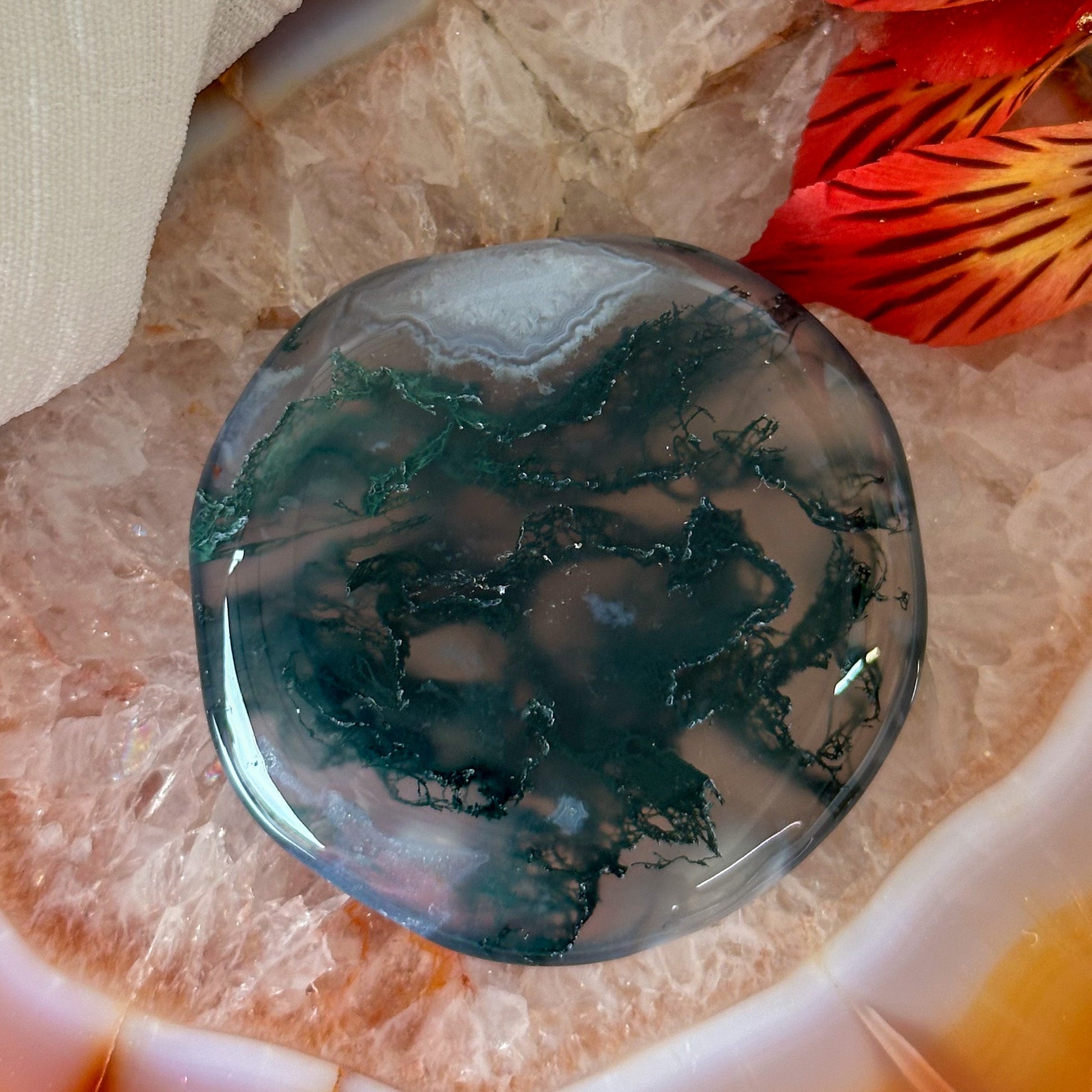 Moss Agate Palm Stone #901-Happily Zen