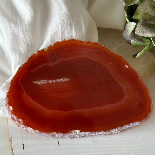 Red Agate Slice #897-Happily Zen