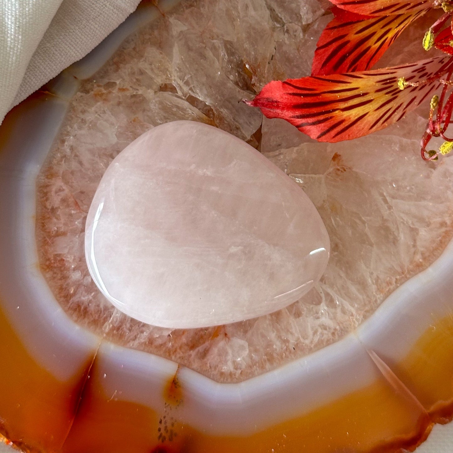 Rose Quartz Palm Stone #918-Happily Zen