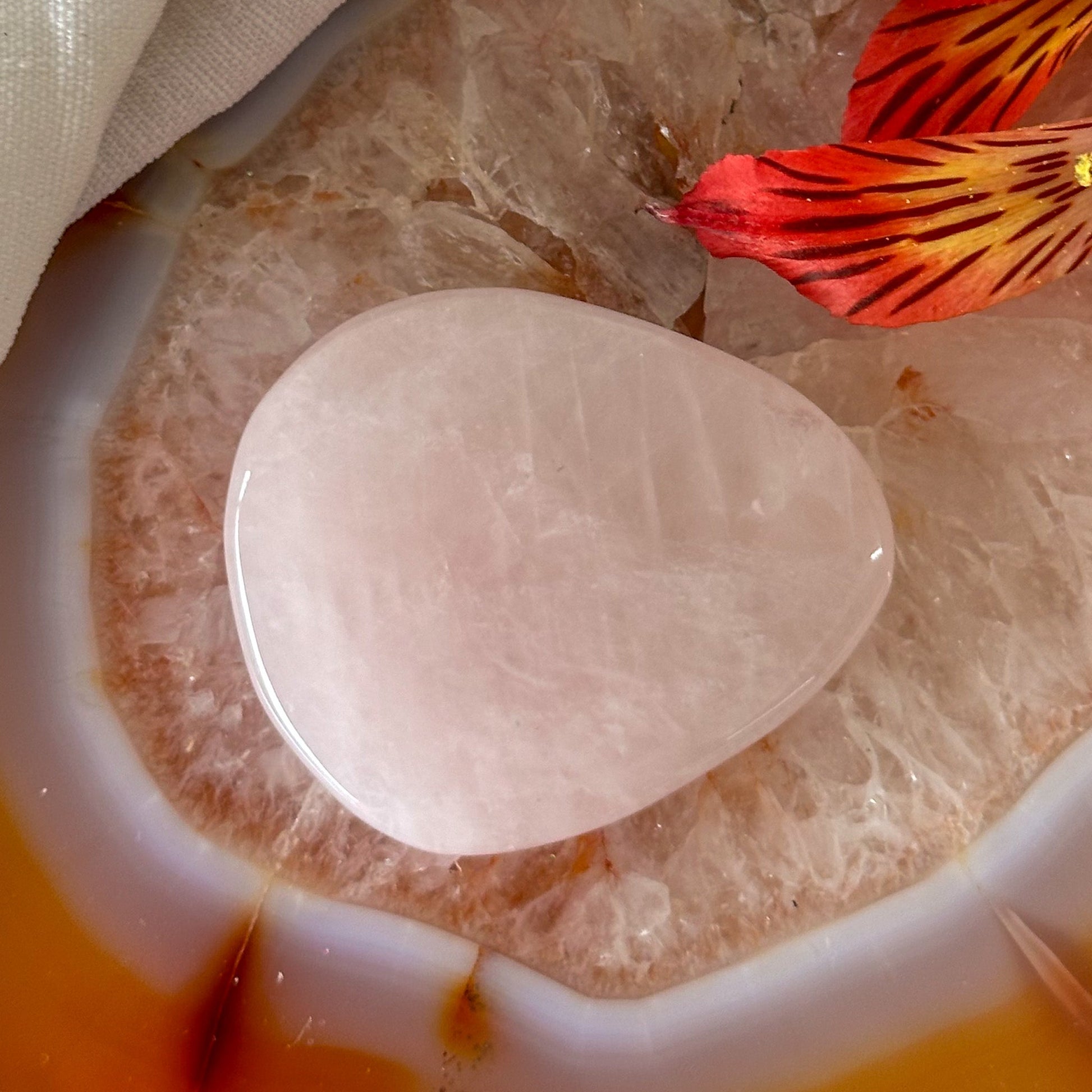 Rose Quartz Palm Stone #918-Happily Zen