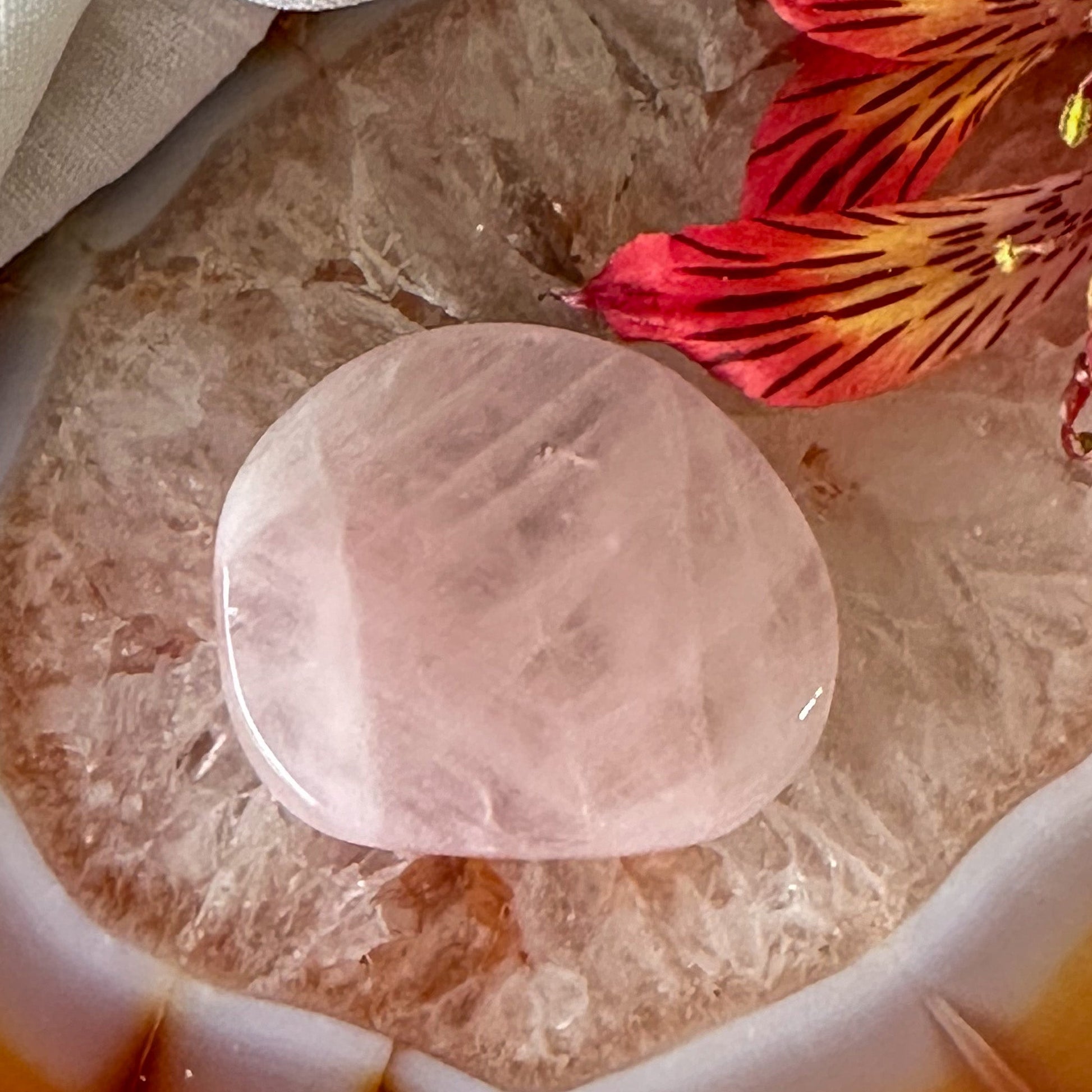 Rose Quartz Palm Stone #920-Happily Zen