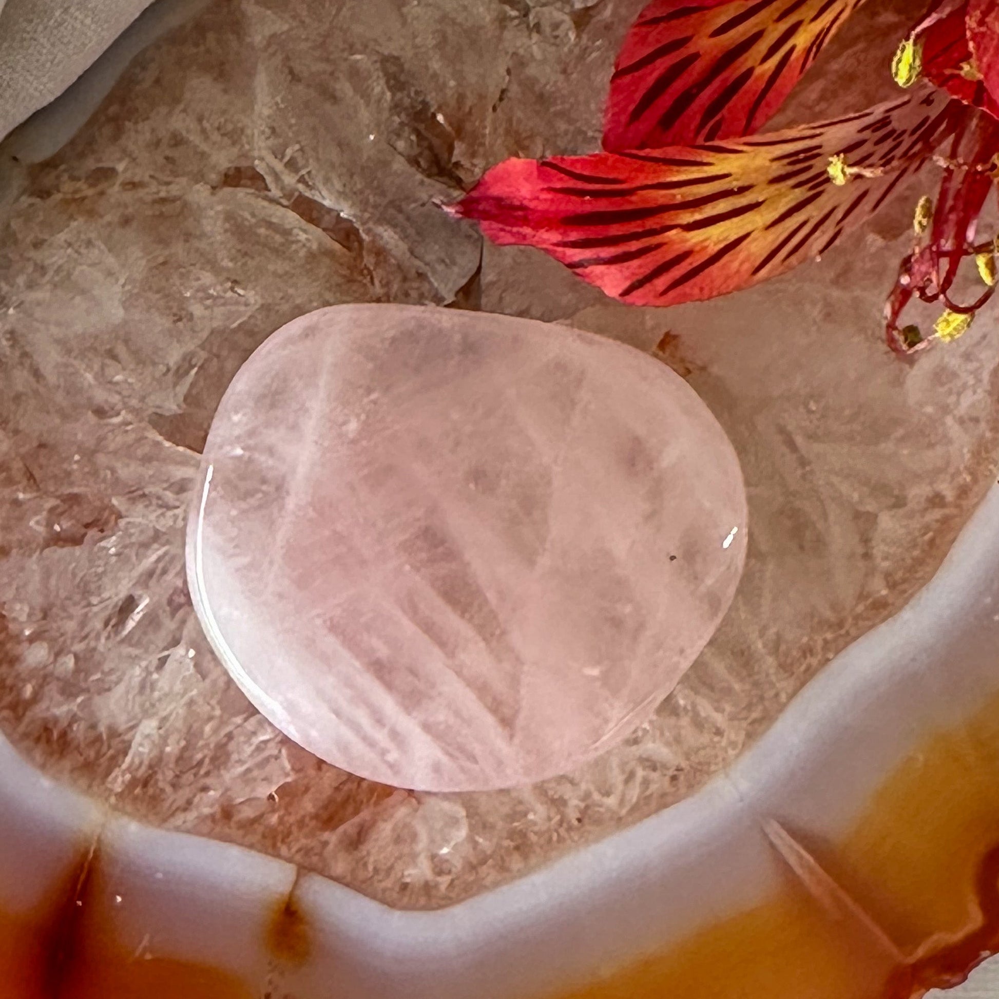 Rose Quartz Palm Stone #920-Happily Zen