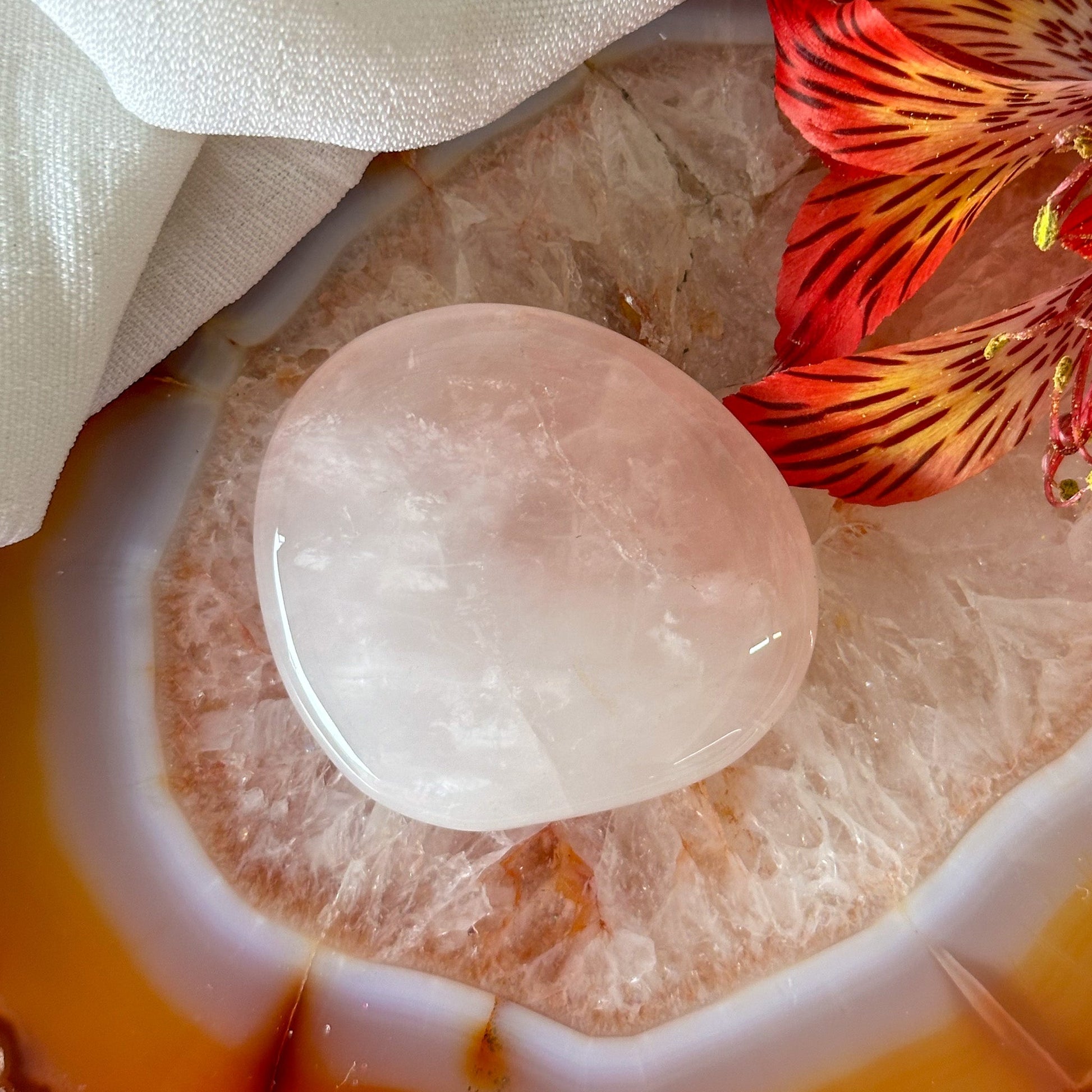 Rose Quartz Palm Stone #921-Happily Zen