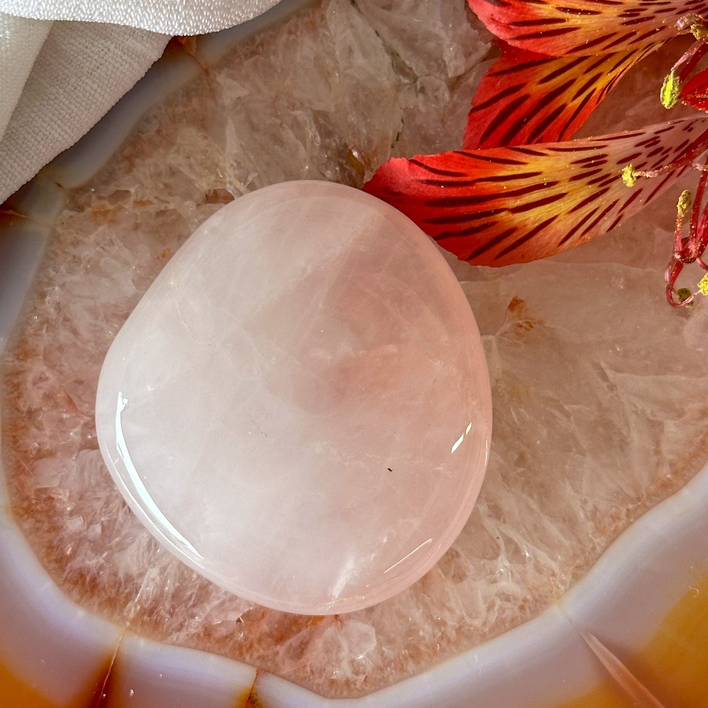 Rose Quartz Palm Stone #921-Happily Zen