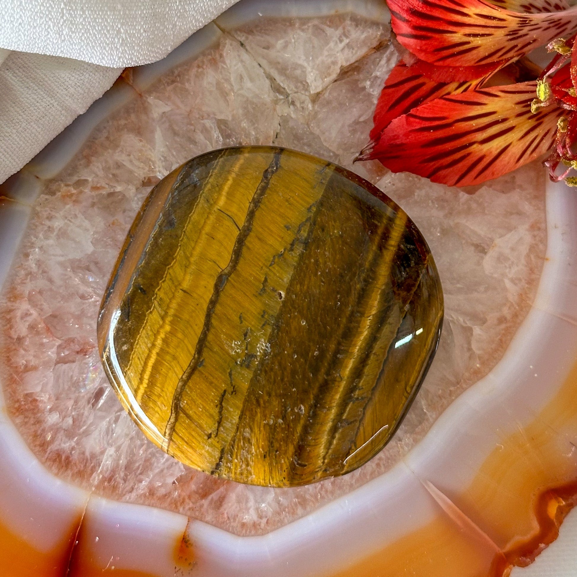 Tigers Eye Palm Stone #911-Happily Zen