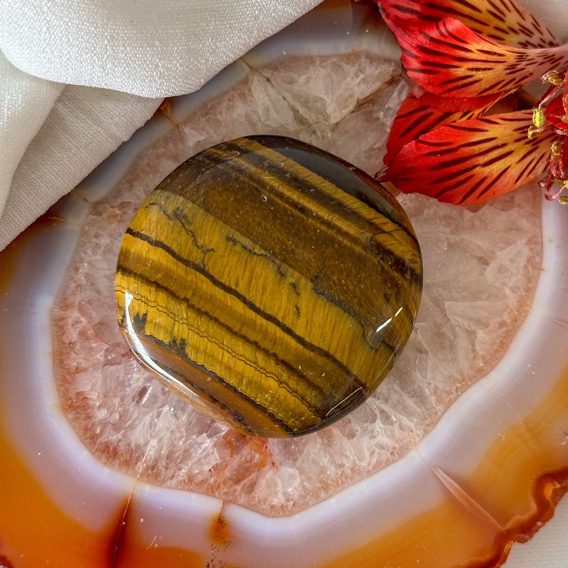 Tigers Eye Palm Stone #911-Happily Zen