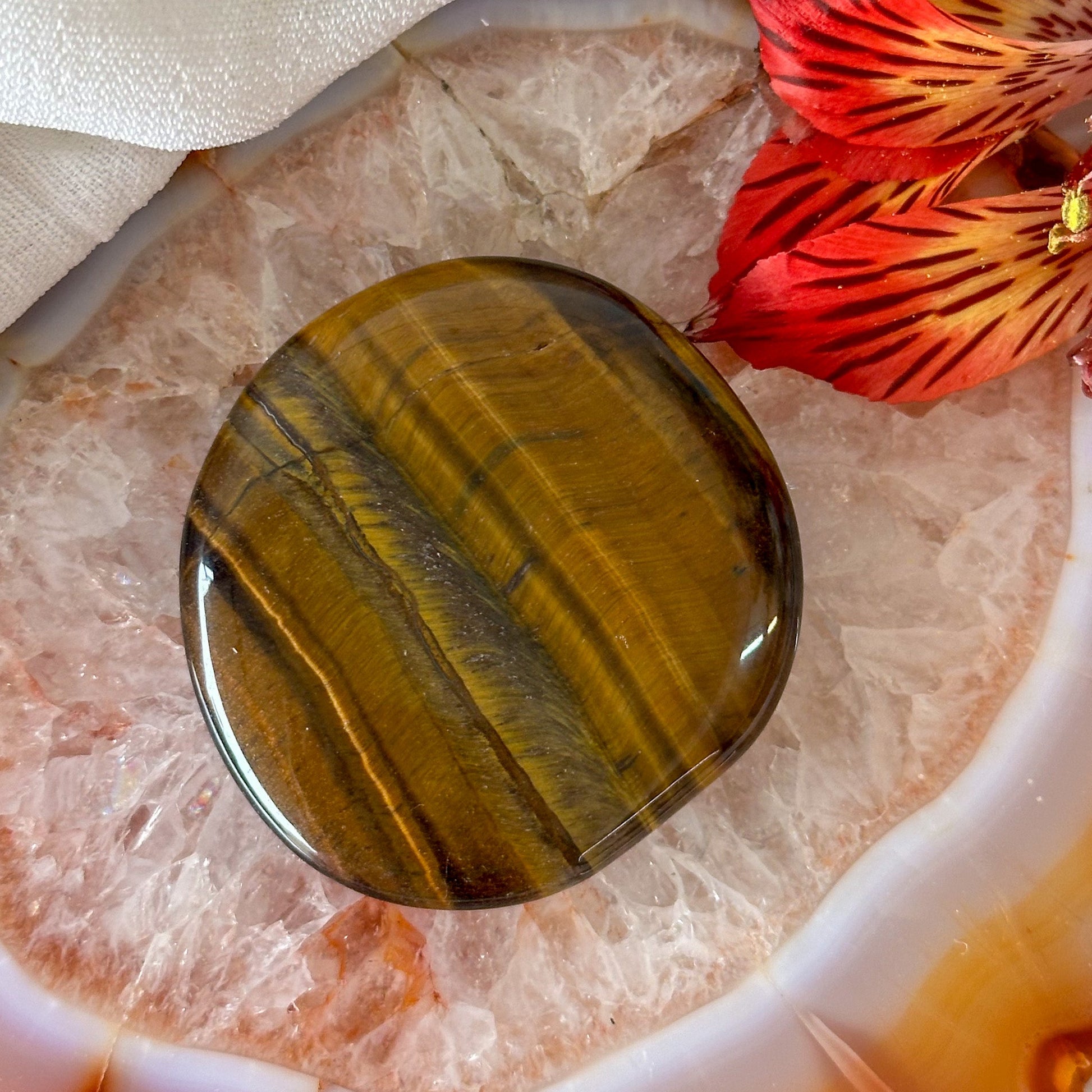 Tigers Eye Palm Stone #913-Happily Zen